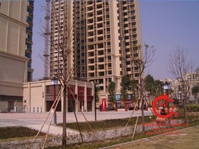 坦洲万科金悦华庭现场验房-响鼓锤珠海验房